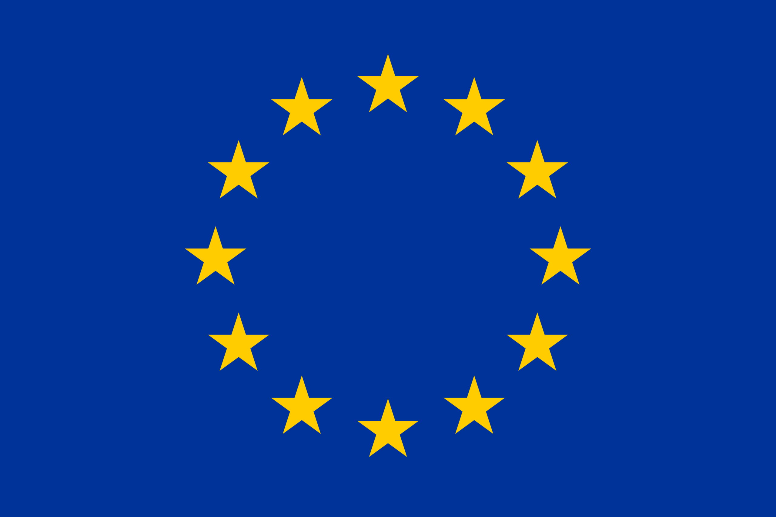 European union flag